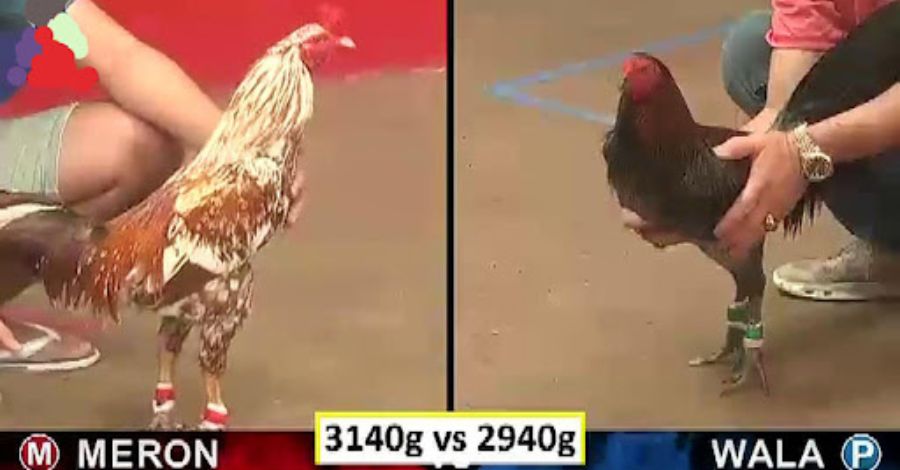 Hãy cập nhật các thông tin liên quan trước trận đấu