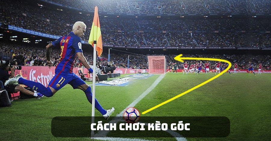 Cách chơi các loại kèo góc phổ biến nhất tại GO99