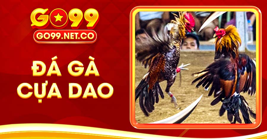 đá gà cựa dao