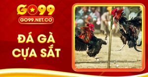 đá gà cựa sắt