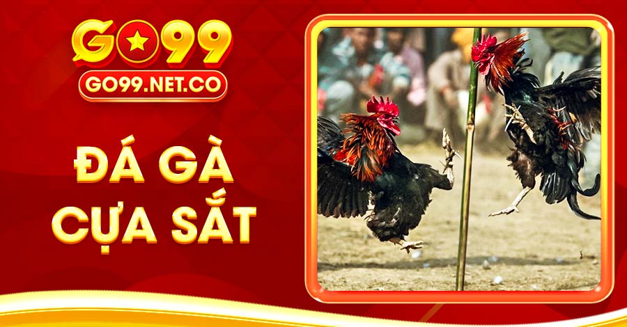 đá gà cựa sắt