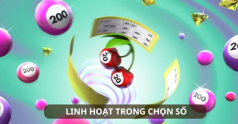 Linh hoạt trong chọn số