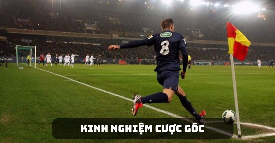 Cập nhật thông tin thường xuyên về các đội bóng khi cá cược