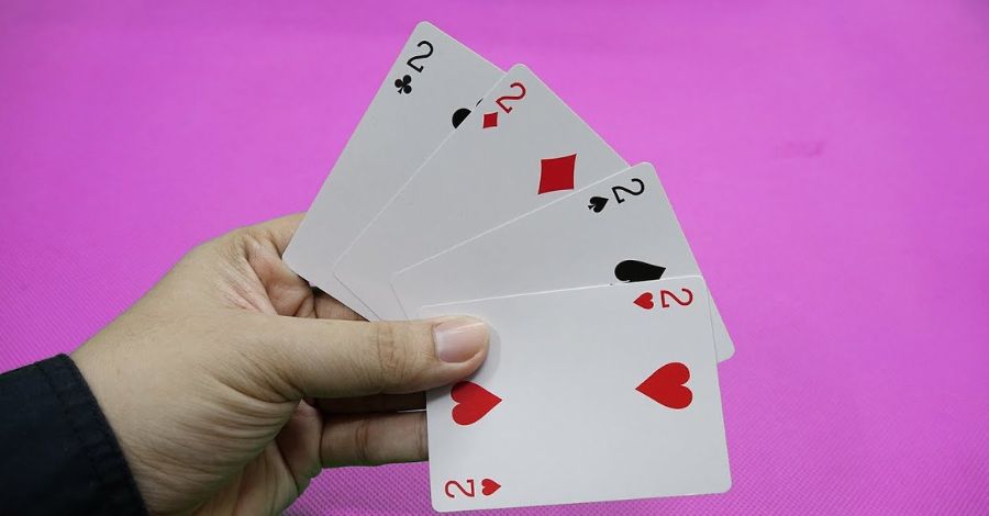 Tìm hiểu chi tiết về tứ quý heo là gì
