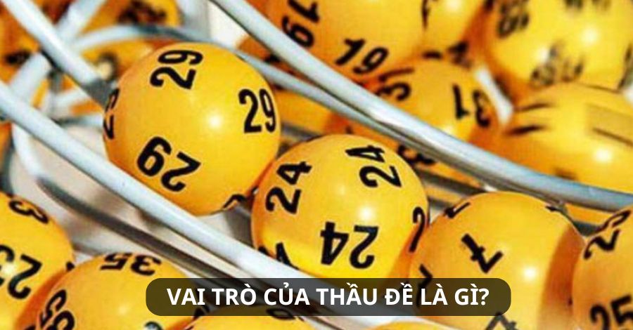 Tìm hiểu vai trò của thầu đề là gì?