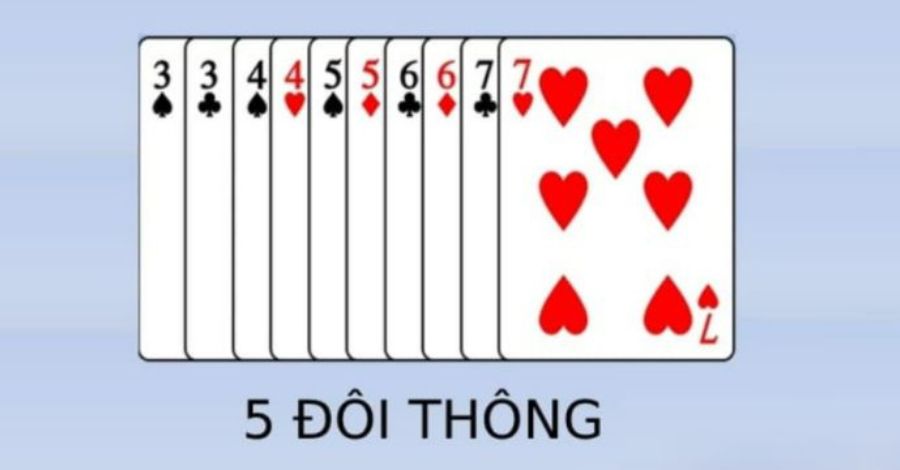 Tìm hiểu chi tiết 5 đôi thông là gì?
