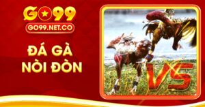 Khám Phá Hình Thức Đá Gà Nòi Đòn Hấp Dẫn Cùng GO99