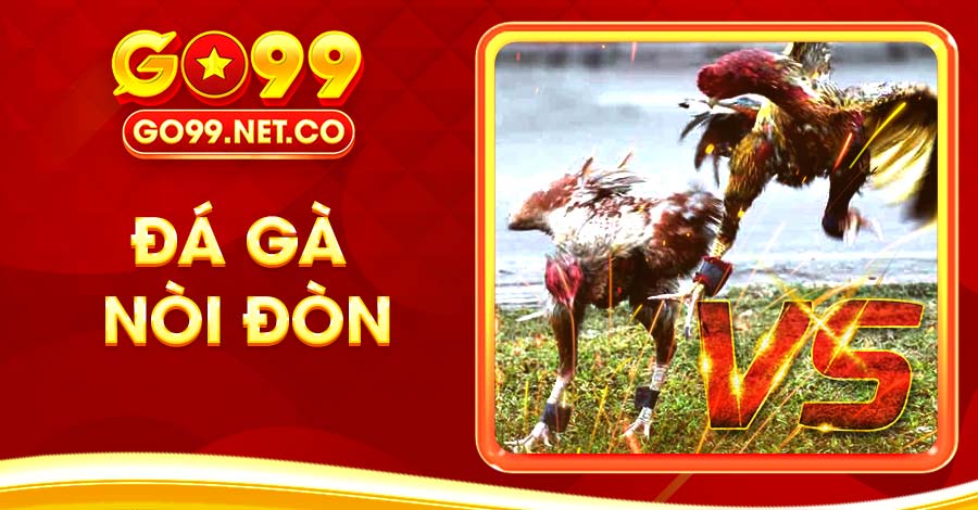 Khám Phá Hình Thức Đá Gà Nòi Đòn Hấp Dẫn Cùng GO99