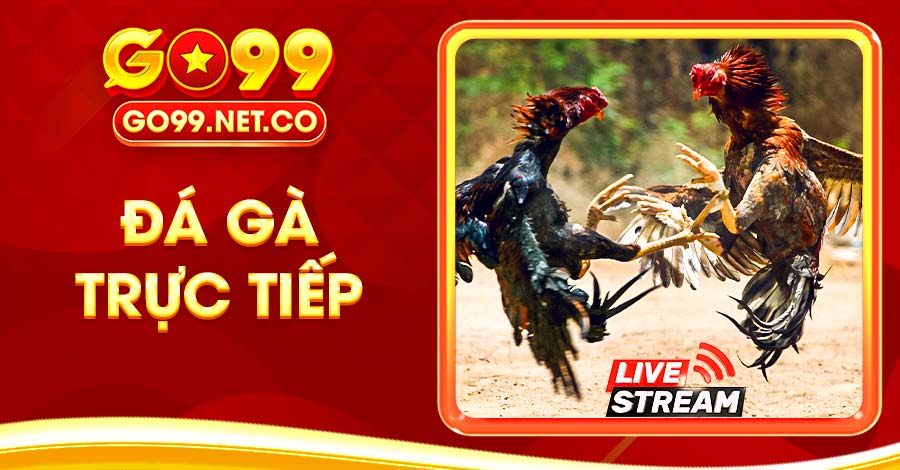 Đá Gà Trực Tiếp Trải Nghiệm Cùng Những Trận Đấu Mãn Nhãn