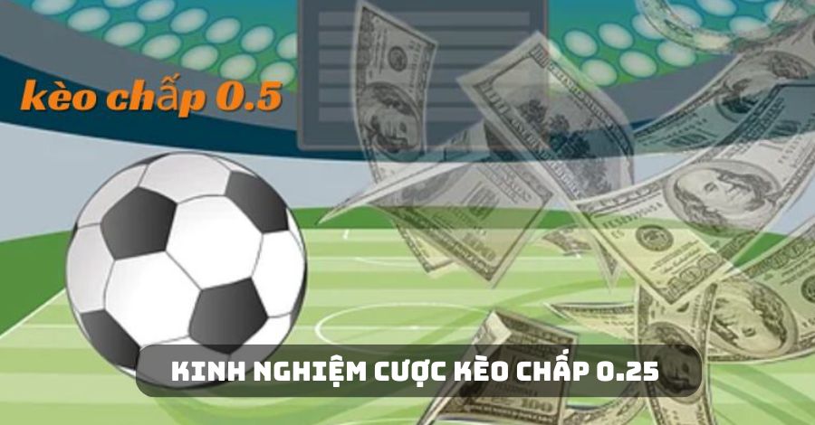 Kinh nghiệm soi kèo chấp 0.25 cực chuẩn từ chuyên gia GO99