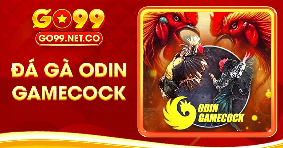 Sảnh Gà Odin Gamecock Trải Nghiệm Đỉnh Cao Của Đá Gà