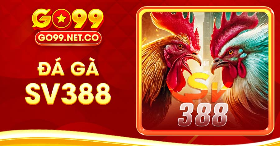 Tìm Hiểu Sảnh Gà SV388 Uy Tín Đấu Trường Đẳng Cấp 2025