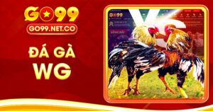 sảnh gà wg