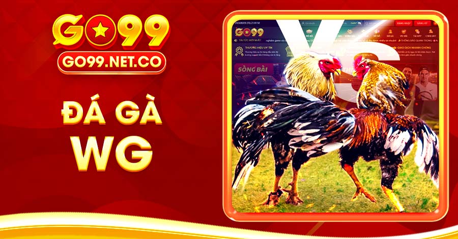 sảnh gà wg