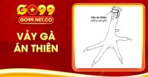 Vảy Gà Án Thiên