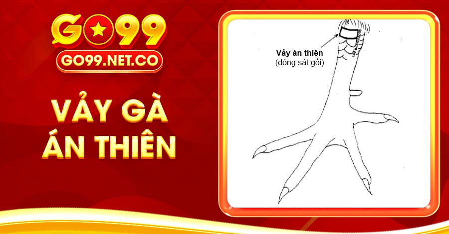 Vảy Gà Án Thiên