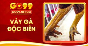 Vảy Gà Độc Biên