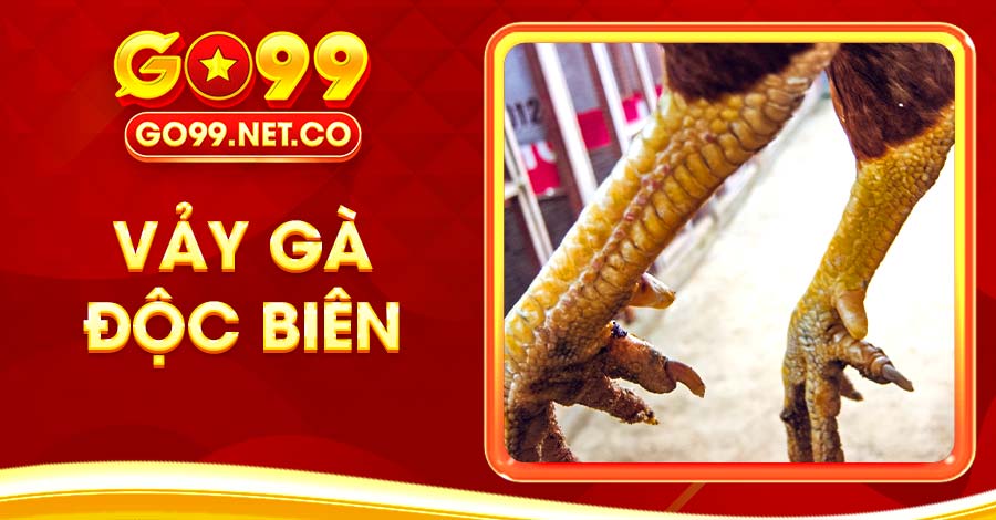 Vảy Gà Độc Biên