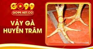 Vảy Gà Huyền Trâm