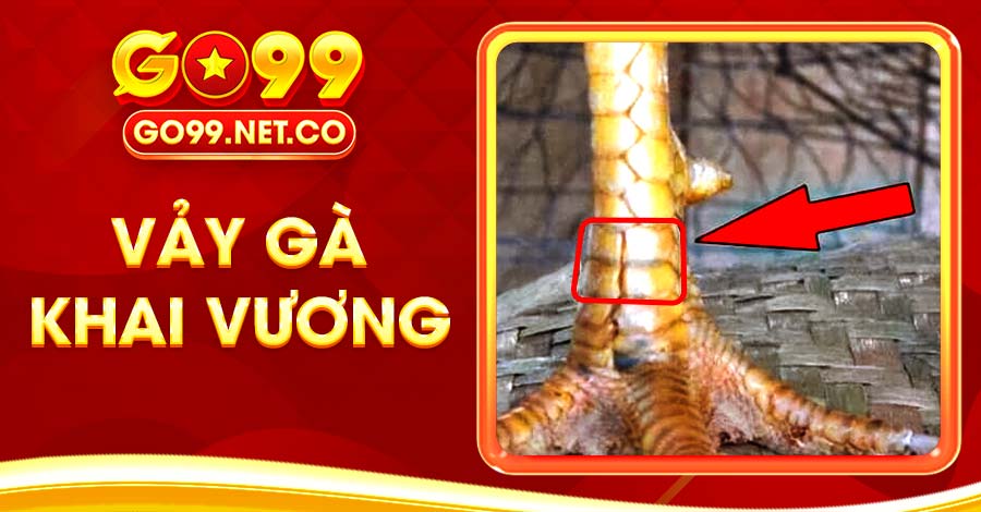 Vảy Gà Khai Vương