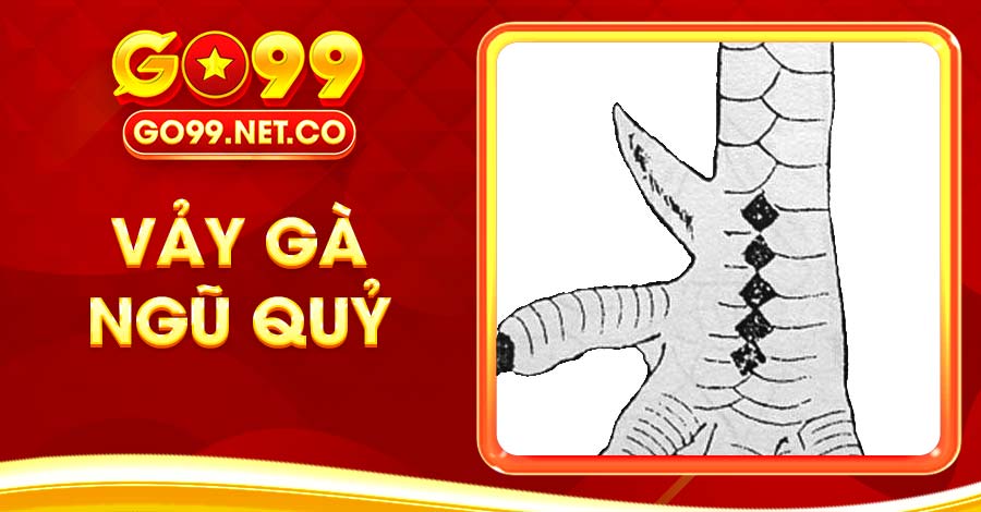 Vảy Gà Ngũ Quỷ Và Những Kiến Thức Cần Phải Biết