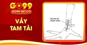vảy tam tài
