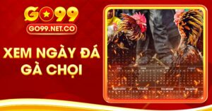 xem ngày đá gà chọi
