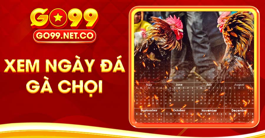 xem ngày đá gà chọi