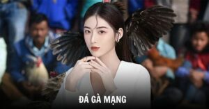 Cách Đá Gà Mạng Luôn Thắng - Kinh Nghiệm Từ Cao Thủ